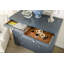 Frances Accent Chest-33345544