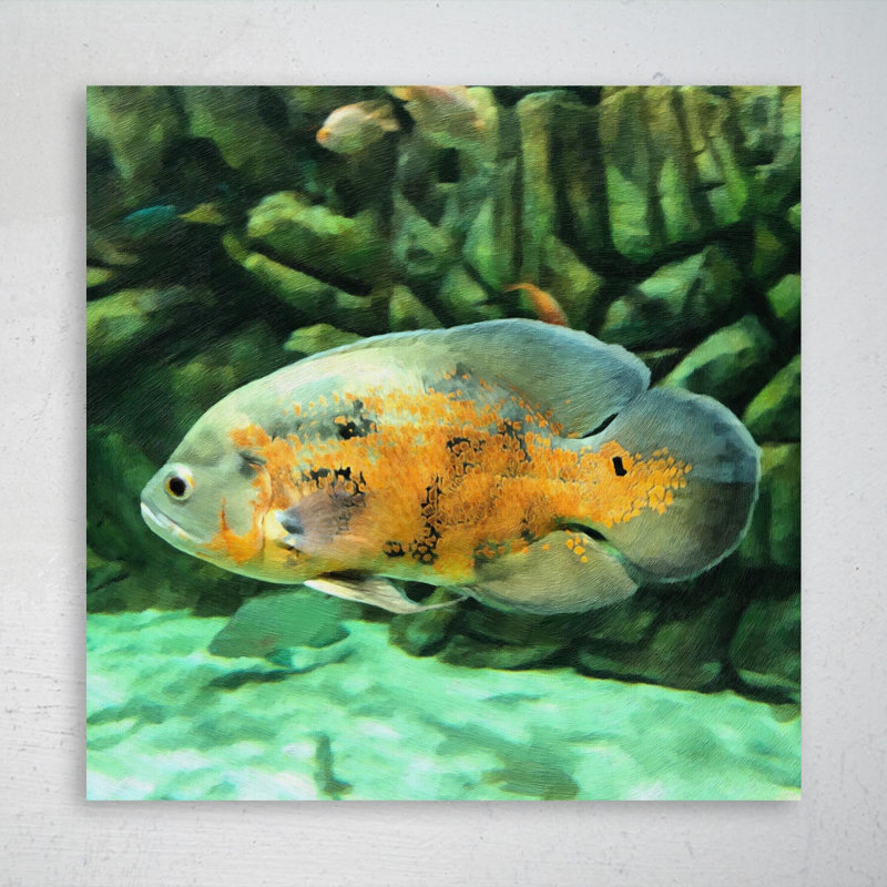 " Oscar Fish " Painting Print, 32" H x 32" W