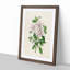 Illustration of Pink Azaleas - Picture Frame Painting Print-55579765-55579764