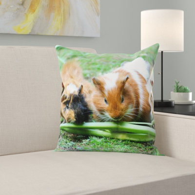 Housse et insert de coussin carré cochon d'Inde
