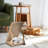 Eilbertus Cat House