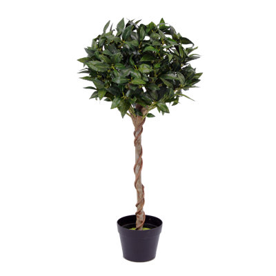 Faux Bay Topiary in Pot