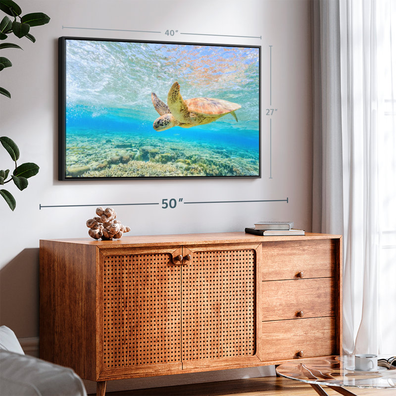 Turtle Dive Canvas Print, 27" H x 40" W