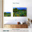 Alvord Windy Tuscany Garden Field-107695393