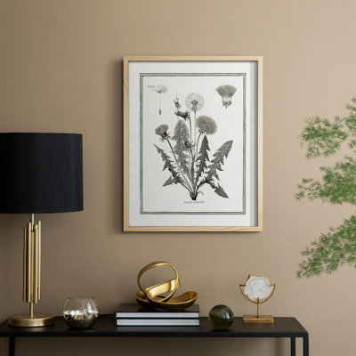Dandelion I Framed Print - Solid Wood