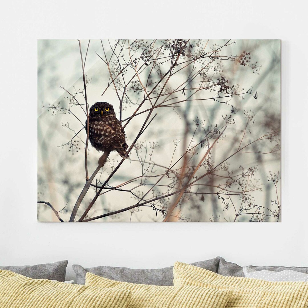 Glasbild Owl in Winter