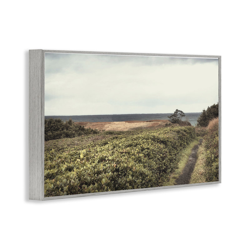  Art de giclée Serene Coastal Pathway par Andy Amos, Estampe numérique Farmhouse, H 20 po x l 30 po
