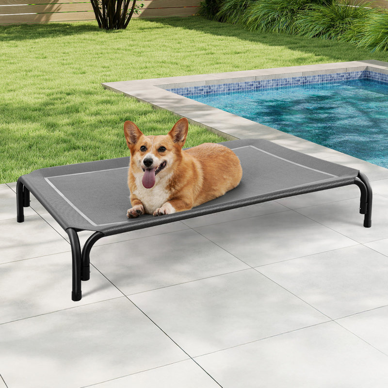 Lit pour chien surélevé intérieur / extérieur avec pieds antidérapants, TG, Gris