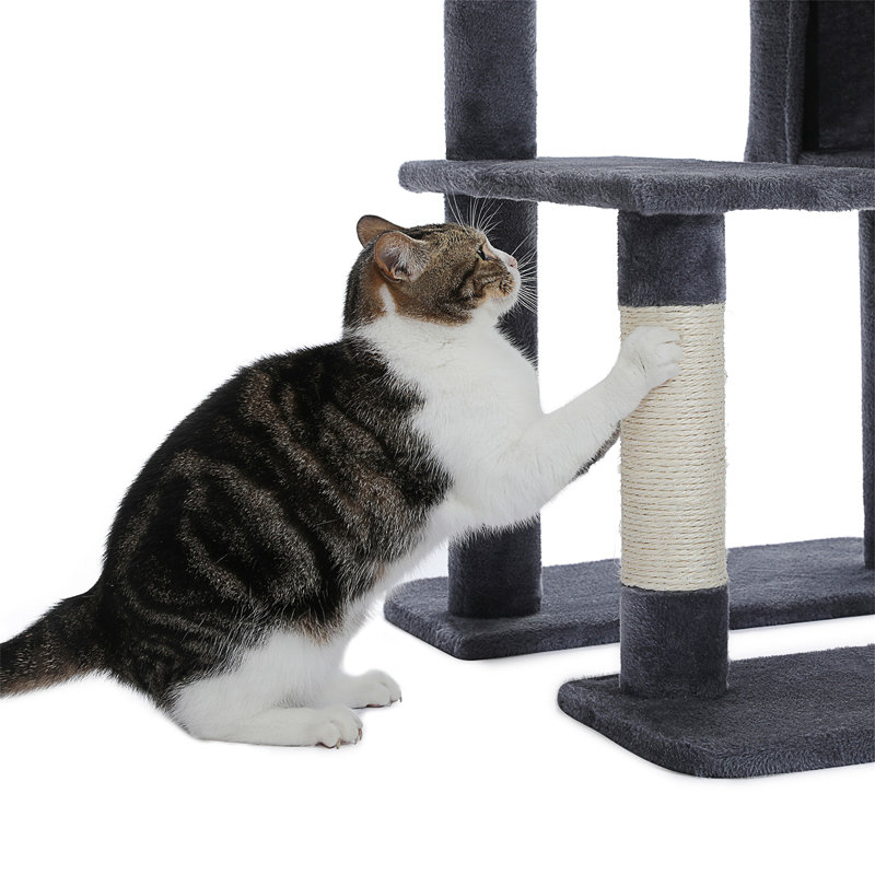 Arbre à chat