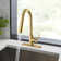 Vetta Pull Down Kitchen Faucet