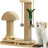 Cat Scratching Post Interactive Toy with Dangling Ball