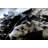 Charline Cowhide Animal Print Indoor Rug