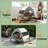 Pet Cot With Pad,Elevated Portable Dog Cot-428638502