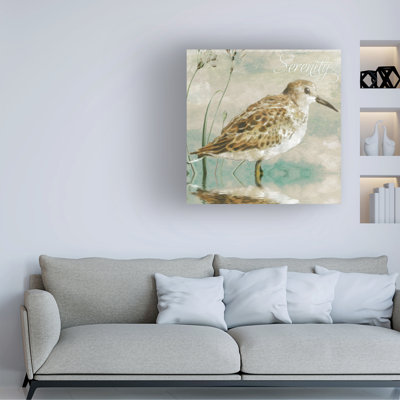 Bolog Sasha Sand Piper I Canvas Art