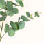 36 "branche d'eucalyptus artificiel pour remplissage de vase, long bouquet de verdure à feuillage de campagne pour décoration de table de centre de table de bureau à domicile