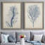 Indigo Coral-1687557483-1687523536-1687523541