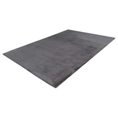 Cha Cha Hand Tufted Area Rug