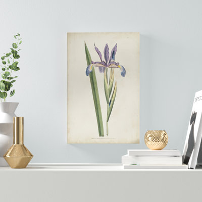 Lavender Curtis Botanicals III - Painting Print
