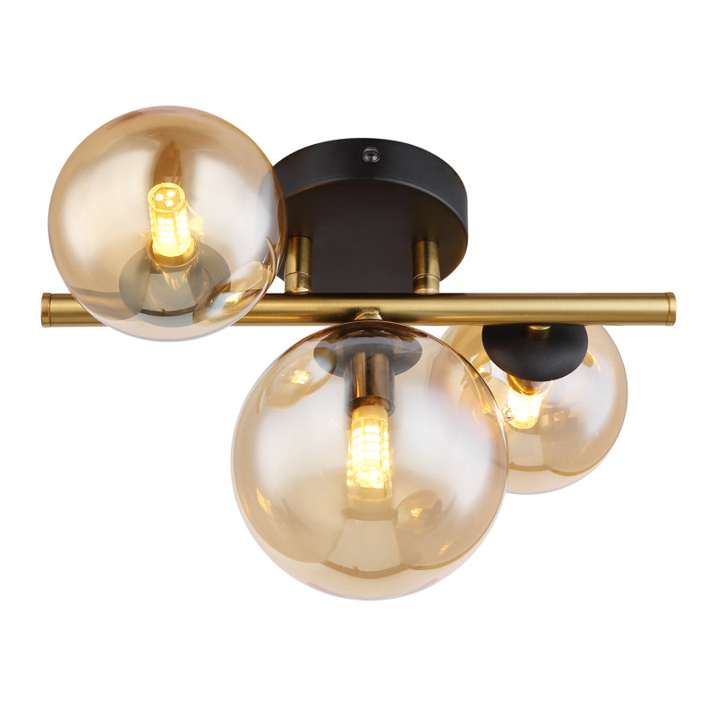 Candance Glass Spotlight