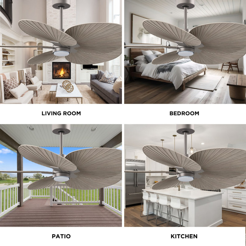 Alessandra Tropical - Five Blade Ceiling Fan - Integrated LED -Matte Black Finish -Light Blue Blades, Gray Ash Tone