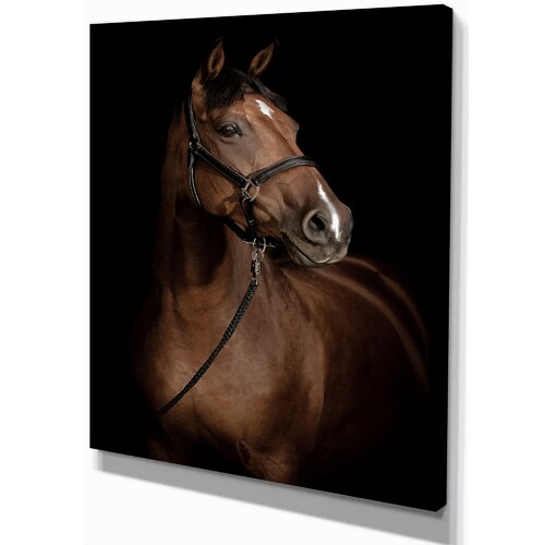 Bless international Horse Portrait On Canvas Print & Reviews | Wayfair
