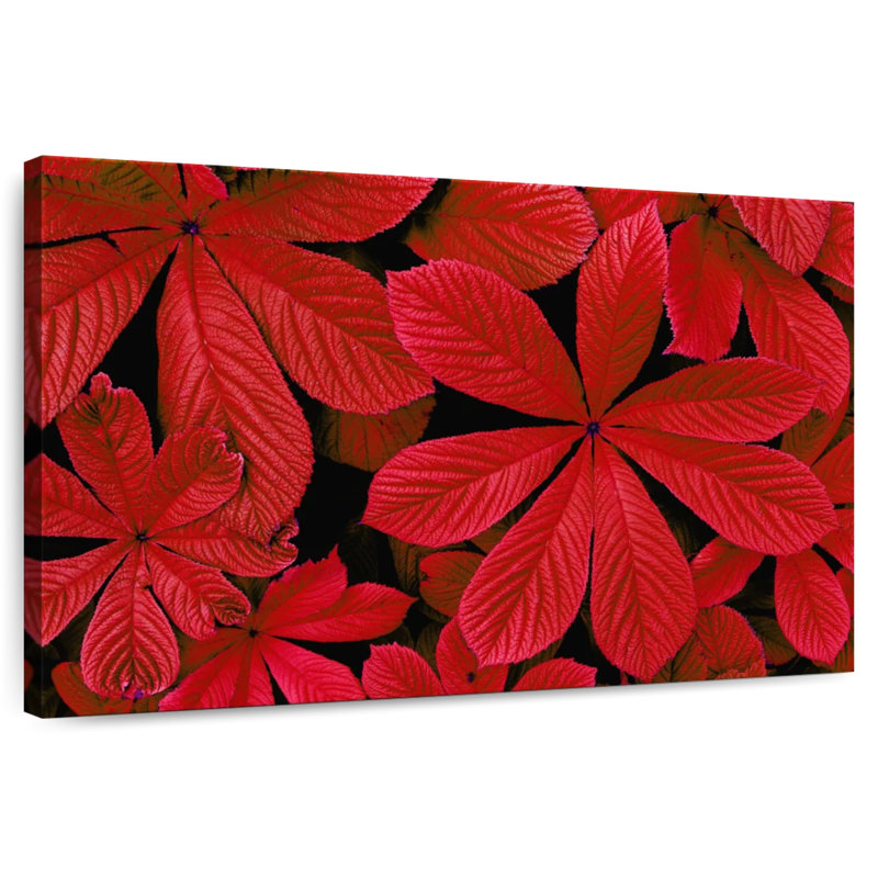 Harnek - feuillage d'automne rouge, H 8 po x l 12 po