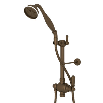 Edwardian Riser Diverter, Handshower, Handshower Holder, Hose and 8" Thermostatic Outlet