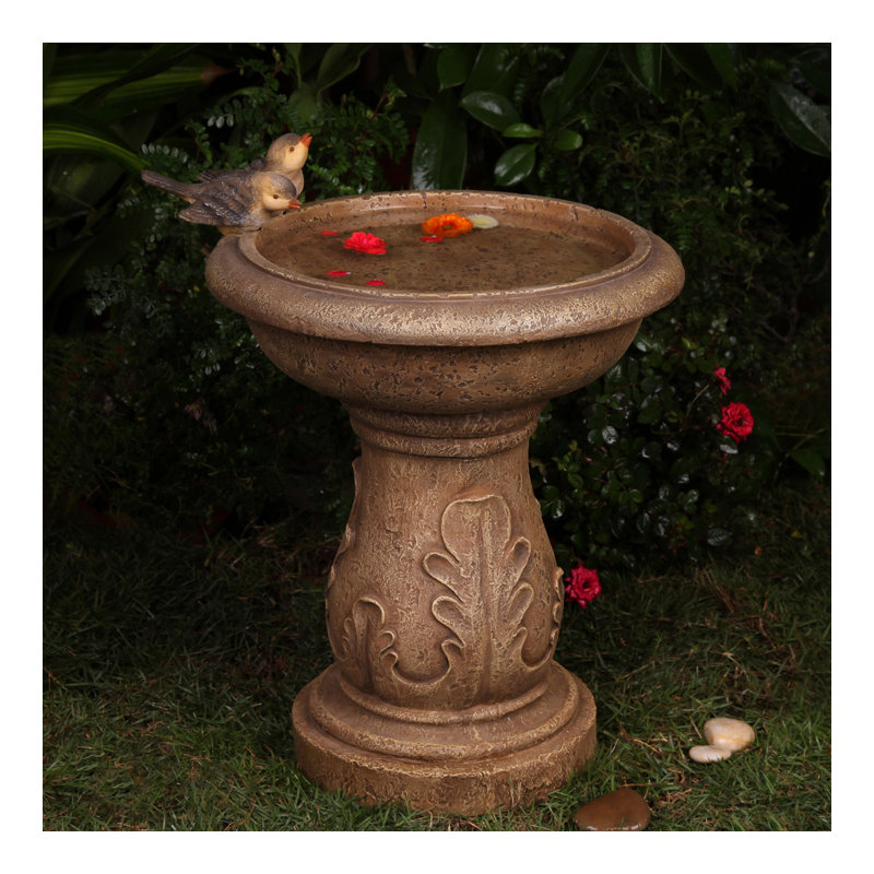 Bain d’oiseaux de jardin classique McCaffrey