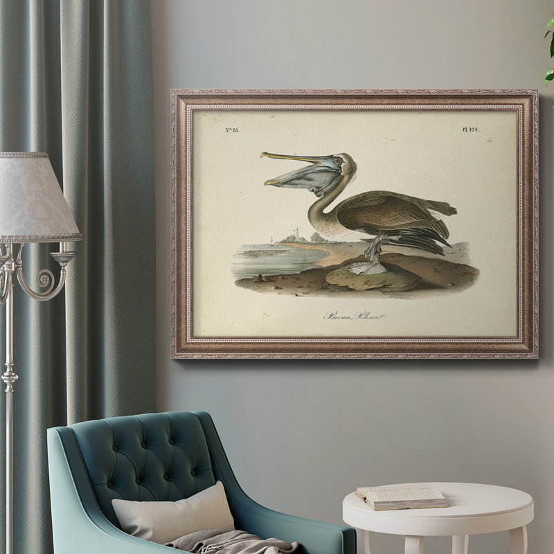 «Brown Pelican» par John Audubon - peinture sur toile encadrée, H 18 po x l 27 po, Cadre argent antique