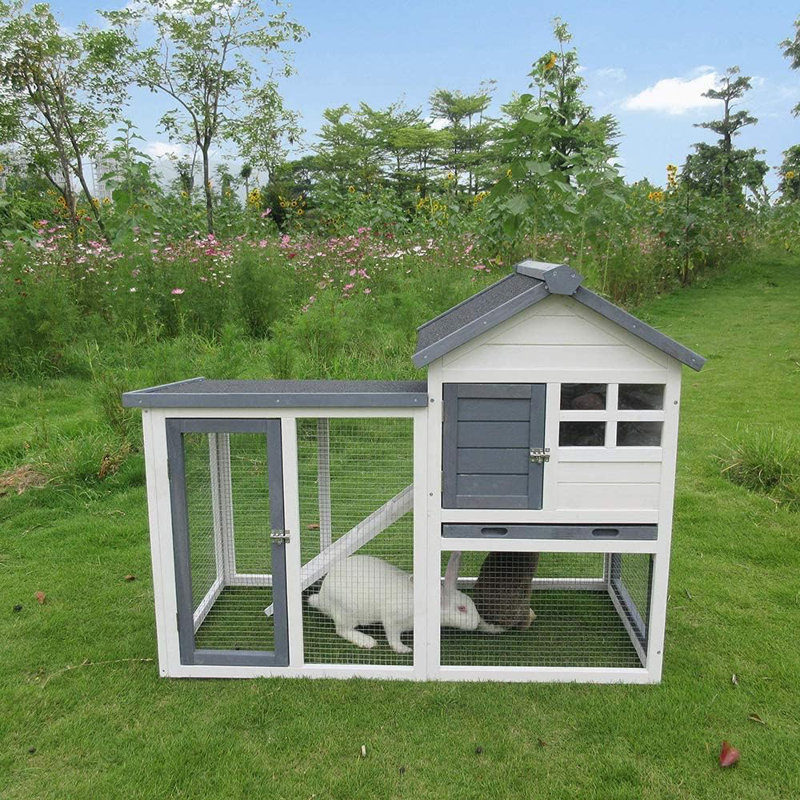 Cage pour petits animaux Estyn