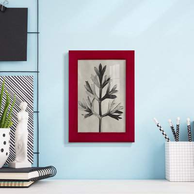 Blossfeldt Botanical I Framed On Paper Print