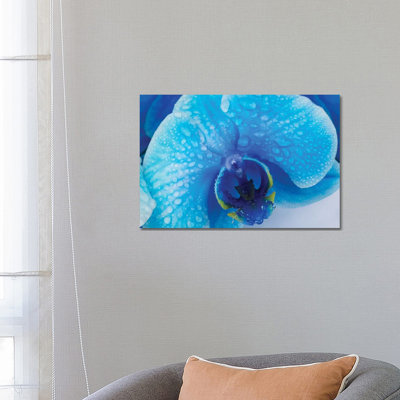 Blue Orchid III by Glauco Meneghelli - Print on Canvas