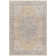 Jazive Oriental Indoor Rug
