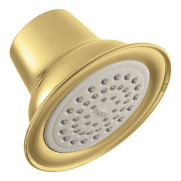 Eco-Performance Standard Adjustable Shower Head, Platinum,  2.5 GPM