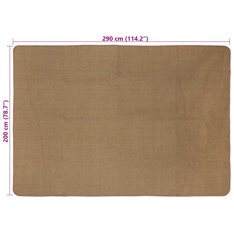 Hand Braided Area Rug, Rectangle 200cm x 290cm