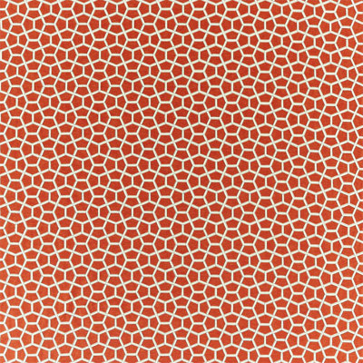 Cubica Fabric