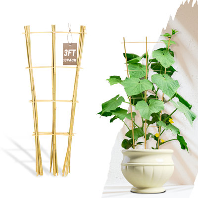 10 Pack 3ft Bamboo Trellis for Climbing Plants