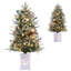 91.44' H Lighted Christmas Tree