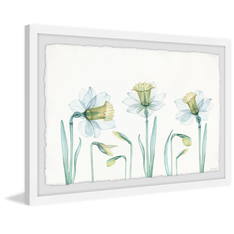 Live And Learn by Marmont Hill - Single Picture Frame Painting, 20cm H x 30cm W