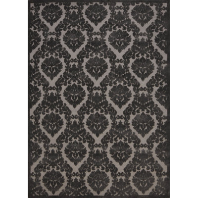 Toohey Indoor Rug