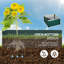 Brinn Metal Planter Box-790487912