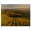 Vineyard Sunset Landscape - Décoration murale traditionnelle sur toile-1955656245-1955656253