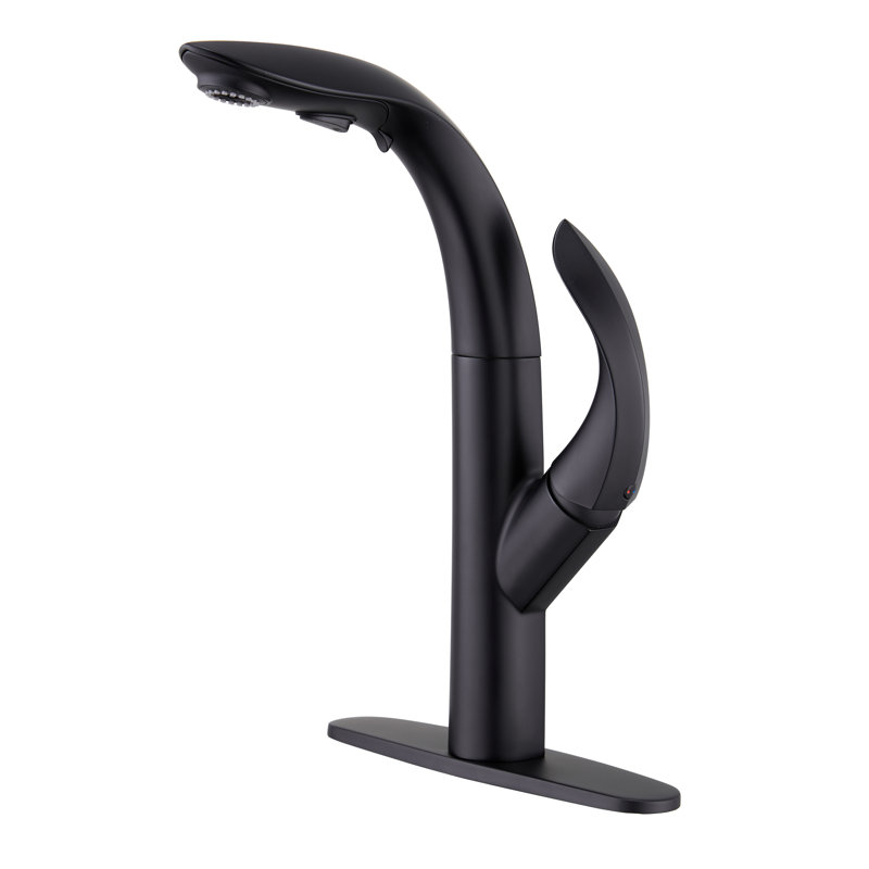 Mondawe Kitchen Faucet, Matte Black