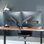 VIVO Mechanical Spring Dual Monitor Desk Mount (STAND-V002O)