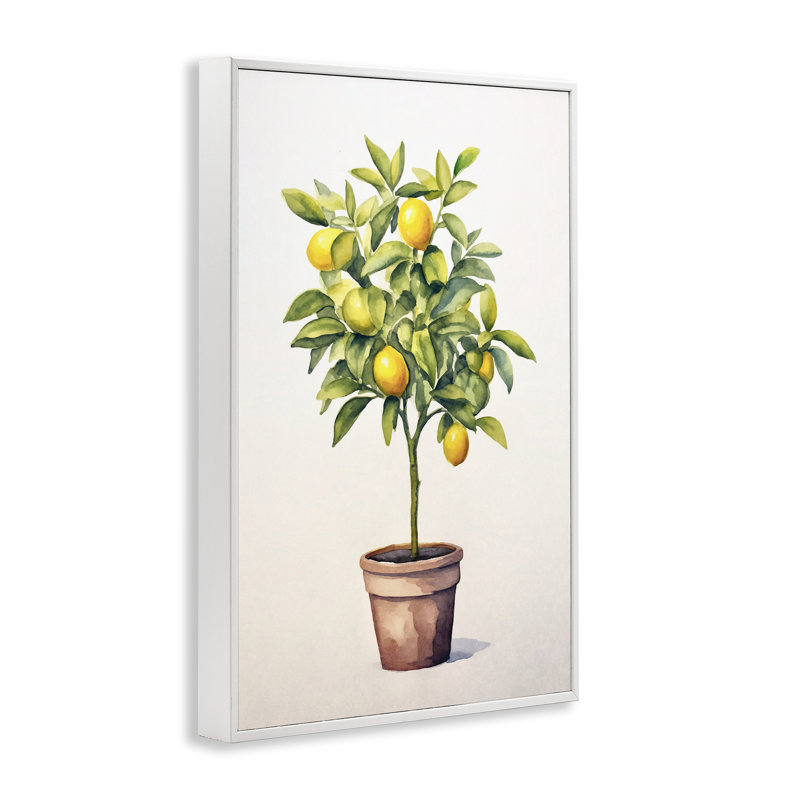 «Citrus Tree Serenade», giclée par Andrea Haase, H 18 po x l 12 po, Estampe numérique encadrée blanc bord de mer