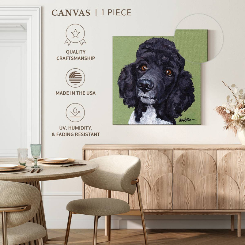 Caniche standard Tommy, H 16 po x l 16 po