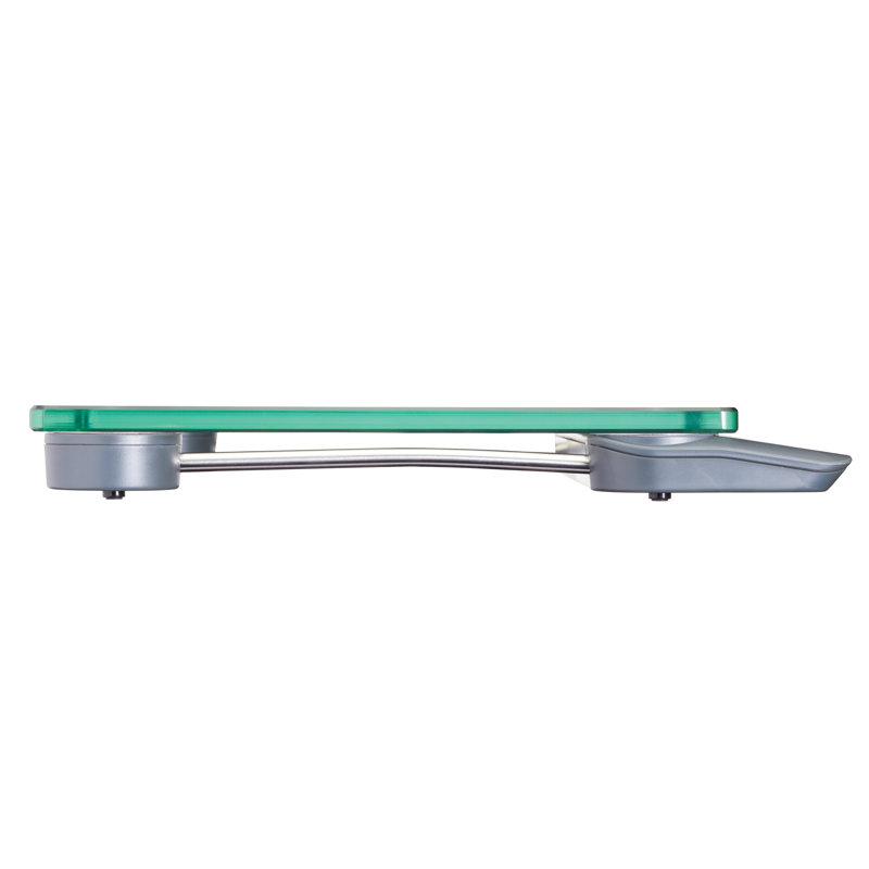 Taylor Pro Digital Scale