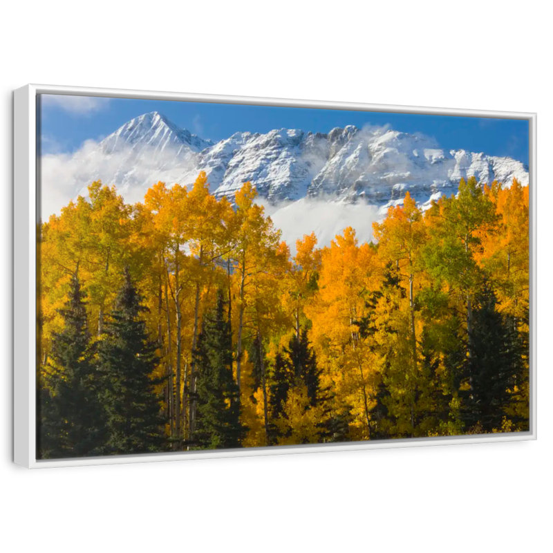 Vue d'automne du Wilson Wilson Peak, Cadre flottant blanc, 25 po x 17 po
