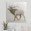 «Elk» par Ieuan, reproduction d'art-26544829-19208540