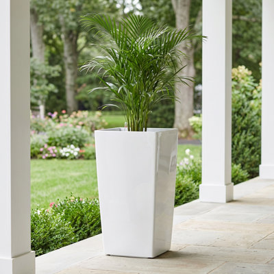 Byrum Plastic Self-Watering Indoor/Outdoor Pot Planter